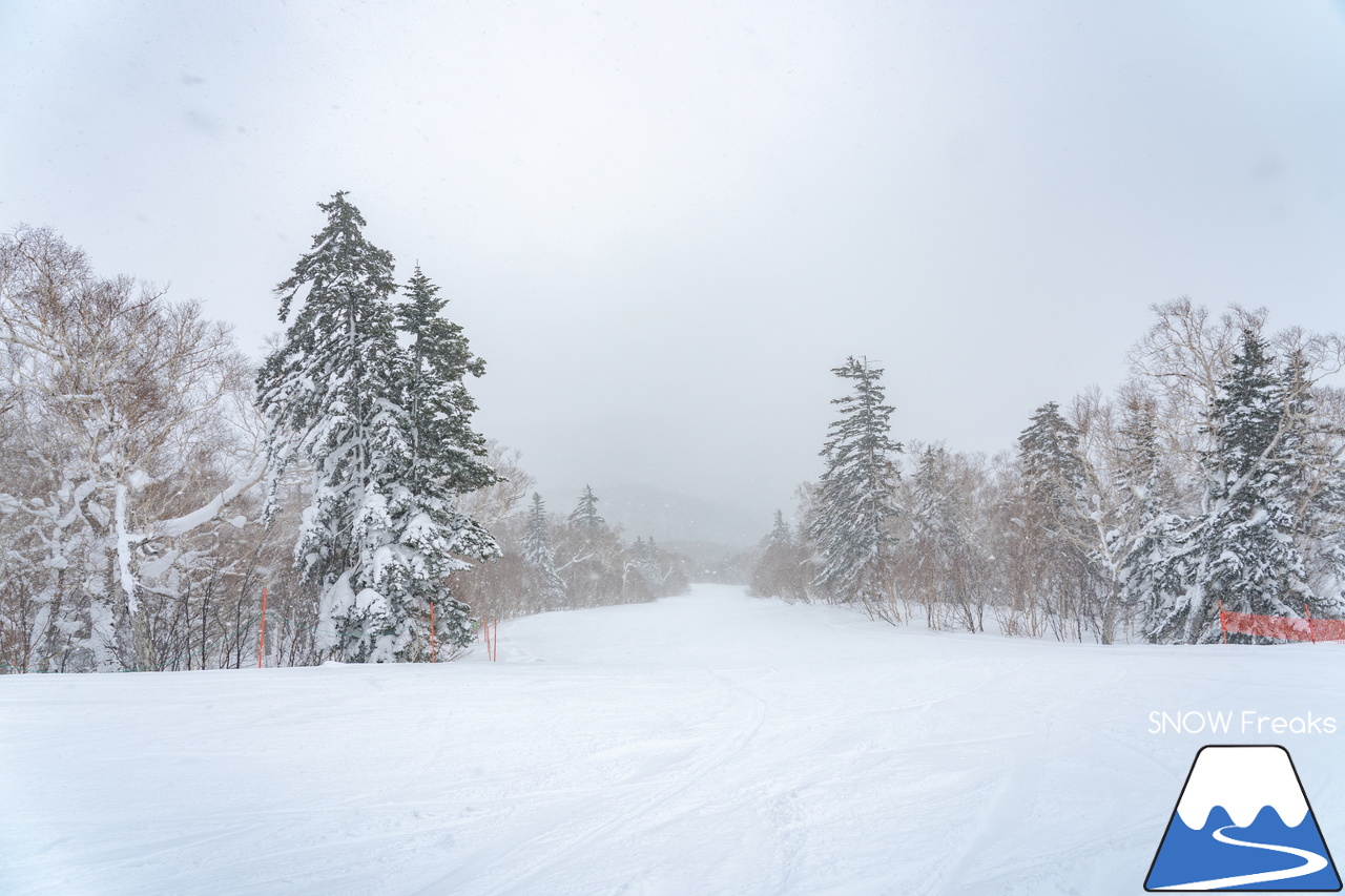 札幌国際スキー場｜３月の平日。粉雪コンディション、ゴンドラ＆リフト待ち無し、もちろん、ゲレンデも混雑無し。要するに、最高です(^_-)-☆